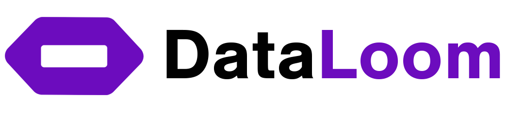 DataLoom Logo